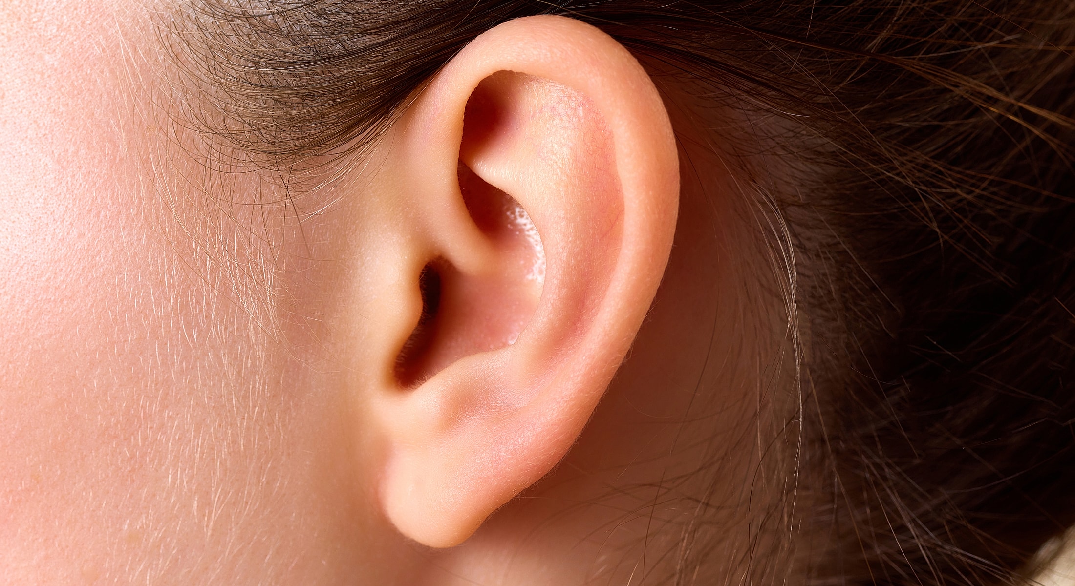 Close-up of a human ear.